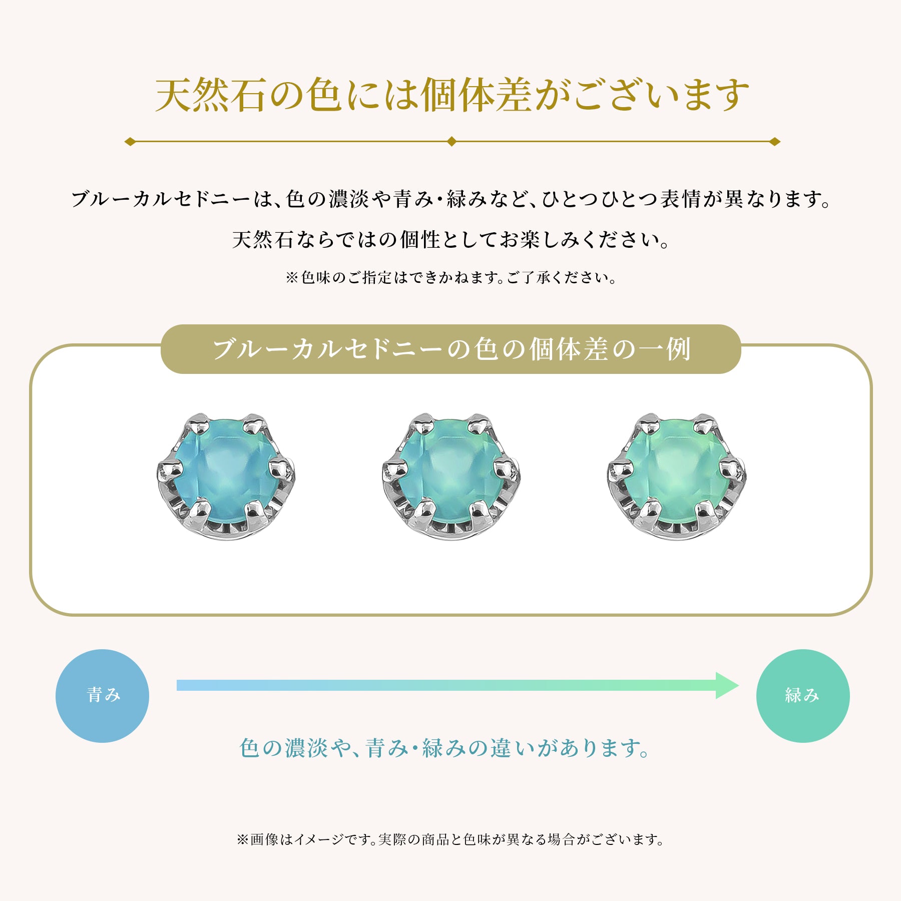 ディズニー ツイステッドワンダーランド』シルバーリング（ジェイド